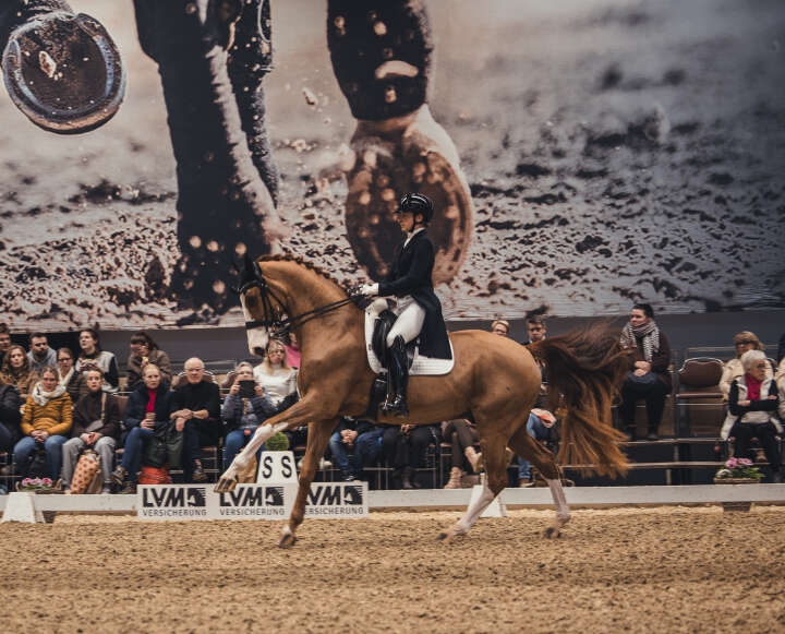 von Harsdorf Wechsel